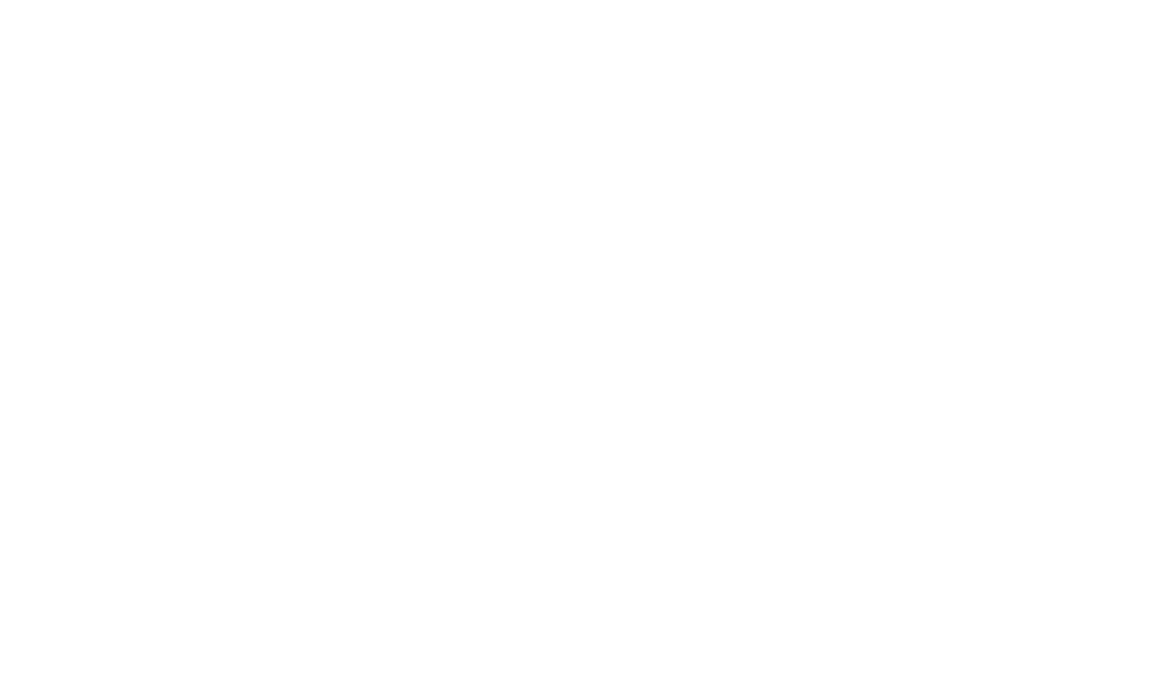 Roland Berger logo